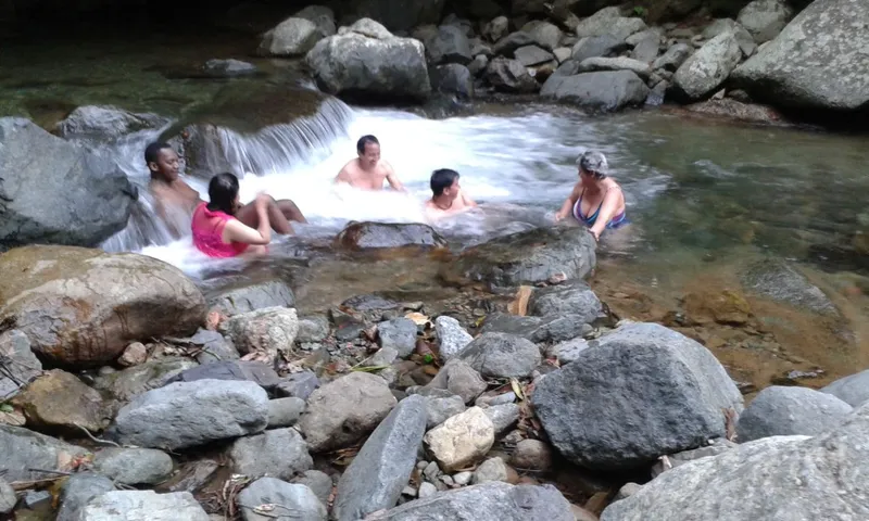 Cierre de actividades 2015